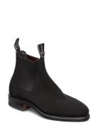 Macquaire G Suede Black 4+ Shoes Chelsea Boots Black R.M. Williams