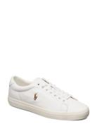 Longwood Leather Sneaker Low-top Sneakers White Polo Ralph Lauren