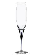 Intermezzo Blue Champagne 26Cl  Home Tableware Glass Champagne Glass N...