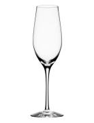 Merlot Champagne Glass 33Cl  Home Tableware Glass Champagne Glass Nude...