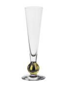 Nobel Champagne 18 Cl Home Tableware Glass Champagne Glass Nude Orrefo...