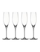 Authentis Champagneglas 19 Cl 4-P Home Tableware Glass Champagne Glass...