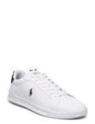 Leather/Grosgrain-Hrt Ct Ii-Sk-Ltl Low-top Sneakers White Polo Ralph L...