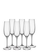 Champagneglas Palace 23,5 Cl 6 Stk. Klar Home Tableware Glass Champagn...