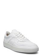 Arel Low-top Sneakers White Lloyd