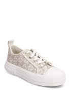 Evy Lace Up Low-top Sneakers Cream Michael Kors