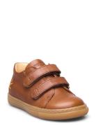 Shoes - Flat - With Velcro Low-top Sneakers Brown ANGULUS