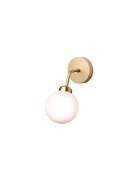 Apiales Wall Home Lighting Lamps Wall Lamps Gold Nuura