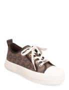 Evy Lace Up Low-top Sneakers Brown Michael Kors