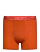 Men Anatomica Boxers Boxershorts Orange Icebreaker
