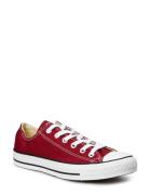 Chuck Taylor All Star Seasonal Sport Sneakers Low-top Sneakers Red Con...
