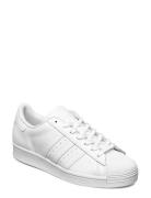 Superstar Sport Sneakers Low-top Sneakers White Adidas Originals