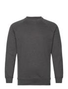 Basic Sweat Crew Tops Sweatshirts & Hoodies Sweatshirts Grey Denim Pro...