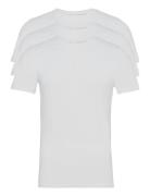3-Pack Tee - Bamboo Tops T-Kortærmet Skjorte White Clean Cut Copenhage...