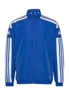 Sq21 Pre Jkt Sport Sweatshirts & Hoodies Sweatshirts Blue Adidas Perfo...