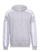 Squadra21 Sweat Hoody Sport Sweatshirts & Hoodies Hoodies Grey Adidas ...