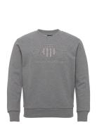Reg Tonal Shield C-Neck Sweat Tops Sweatshirts & Hoodies Sweatshirts G...