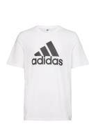 Essentials Single Jersey Big Logo T-Shirt Sport T-Kortærmet Skjorte Wh...