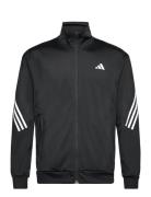 3-Stripe Knitted Jacket Sport Sweatshirts & Hoodies Sweatshirts Black ...