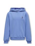 Kognoomi L/S Logo Hood Swt Noos Tops Sweatshirts & Hoodies Hoodies Blu...