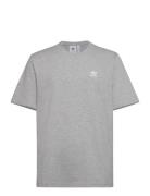 B+F Trefoil Tee Sport T-Kortærmet Skjorte Grey Adidas Originals