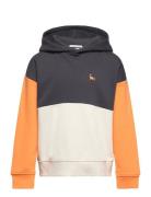 Colorblock Over D Hoody Tops Sweatshirts & Hoodies Hoodies Multi/patte...