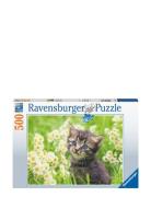 Kitten In The Meadow 500P Toys Puzzles And Games Puzzles Classic Puzzl...