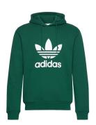 Trefoil Hoody Sport Sweatshirts & Hoodies Sweatshirts Green Adidas Ori...