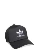 Adicolor Classic Curved Foam Trucker Sport Headwear Caps Black Adidas ...