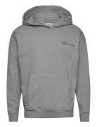 Halo Essential Hoodie Sport Sweatshirts & Hoodies Hoodies Grey HALO
