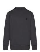 Basic Badge Sweatshirt Tops Sweatshirts & Hoodies Sweatshirts Grey Tom...