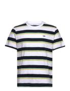 Striped T-Shirt Tops T-Kortærmet Skjorte White Tom Tailor