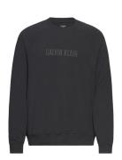 L/S Sweatshirt Tops Sweatshirts & Hoodies Sweatshirts Black Calvin Kle...