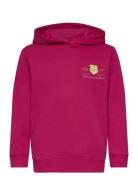 Relaxed Contrast Shield Hoodie Tops Sweatshirts & Hoodies Hoodies Pink...