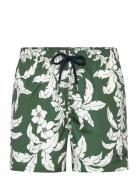 Palm Lei Print Swim Shorts Badeshorts Green GANT