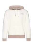 Hco. Guys Sweatshirts Tops Sweatshirts & Hoodies Hoodies White Hollist...