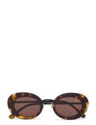 Cloud Tortoise Solbriller Brown Corlin Eyewear