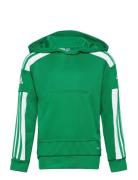 Squadra21 Hoody Youth Sport Sweatshirts & Hoodies Sweatshirts Green Ad...