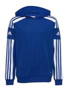 Squadra21 Hoody Youth Sport Sweatshirts & Hoodies Hoodies Blue Adidas ...