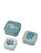 Snack Box Set 3 Pcs Sea Friends Blue Home Meal Time Lunch Boxes Blue D...