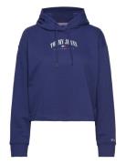 Tjw Rlx Essential Logo 2 Hoodie Tops Sweatshirts & Hoodies Hoodies Blu...