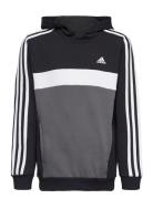 J 3S Tib Fl Hd Sport Sweatshirts & Hoodies Hoodies Black Adidas Sports...