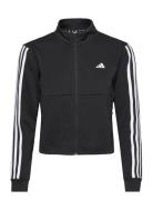 Tr-Es 3S Tj Sport Sweatshirts & Hoodies Sweatshirts Black Adidas Perfo...