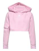 Jg D Crpd Hdy Sport Sweatshirts & Hoodies Hoodies Pink Adidas Performa...
