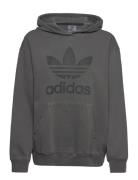 Washd Trf Hoody Sport Sweatshirts & Hoodies Hoodies Black Adidas Origi...