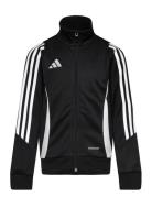 Tiro24 Training Jacket Kids Sport Sweatshirts & Hoodies Sweatshirts Bl...