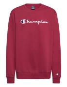 Crewneck Sweatshirt Sport Sweatshirts & Hoodies Sweatshirts Burgundy C...