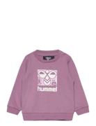 Hmlcitrus Sweatshirt Sport Sweatshirts & Hoodies Sweatshirts Pink Humm...