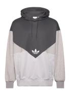 C Poly Hdy Sport Sweatshirts & Hoodies Hoodies Grey Adidas Originals