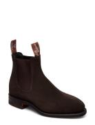 Macquarie G Suede Chocolate 3 Shoes Chelsea Boots Brown R.M. Williams